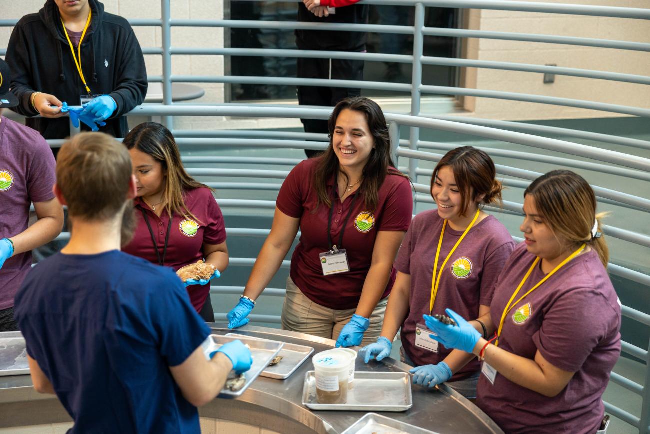 Academia de Verano para Estudiantes Migratorios (MSSA)